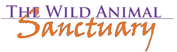charities timesheets supports